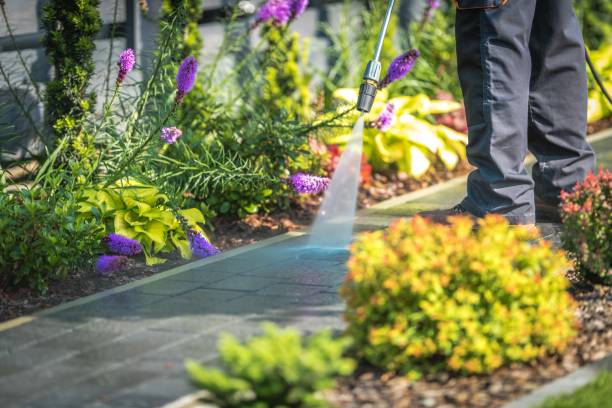 Best Parking Lot and Garage Cleaning  in Hughes Springs, TX