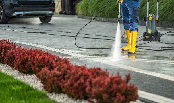 Animal Enclosure Cleaning in Hughes Springs, TX